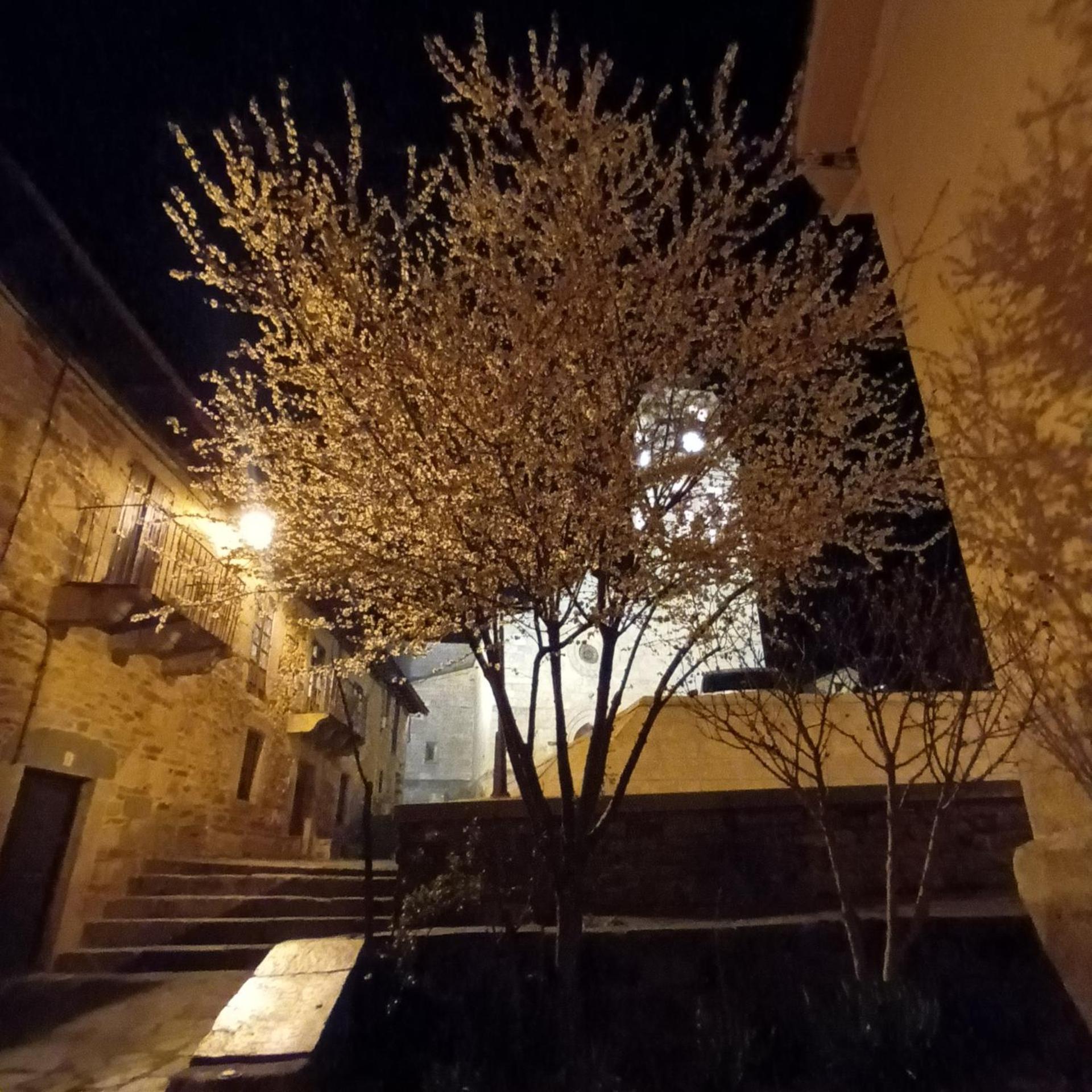 Вилла La Artesonada Casa Con Finca Пуэбла-де-Санабриа Экстерьер фото